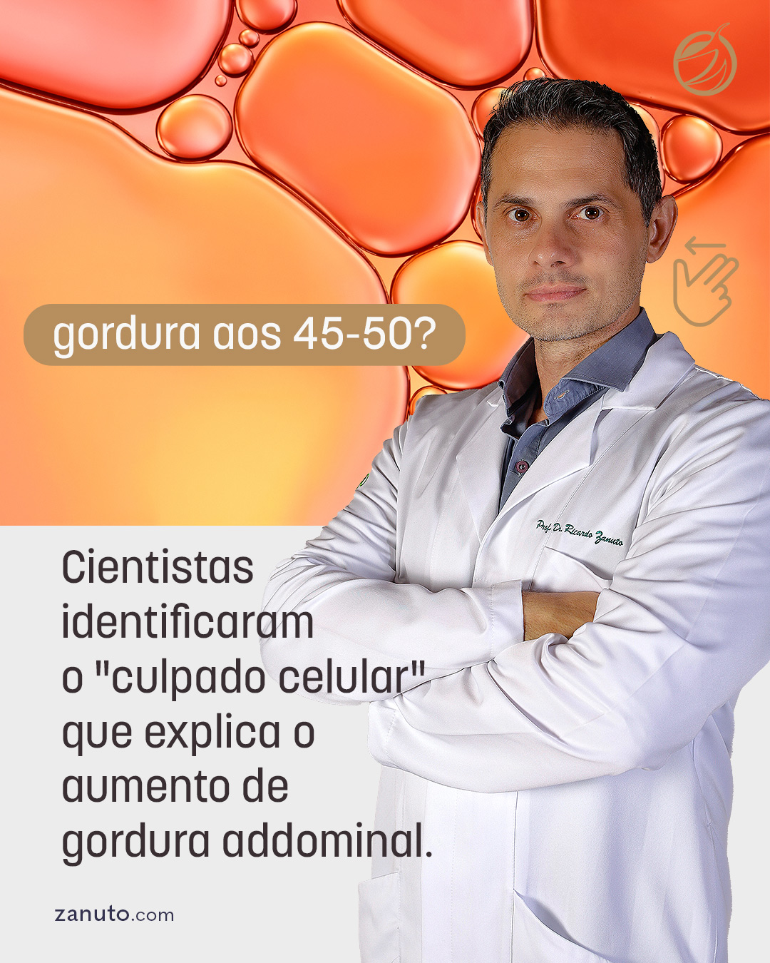 Gordura abdominal: metabolismo e pesquisas